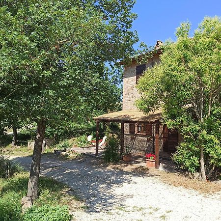 Agriturismo Casa Greppo 新维南佐 外观 照片