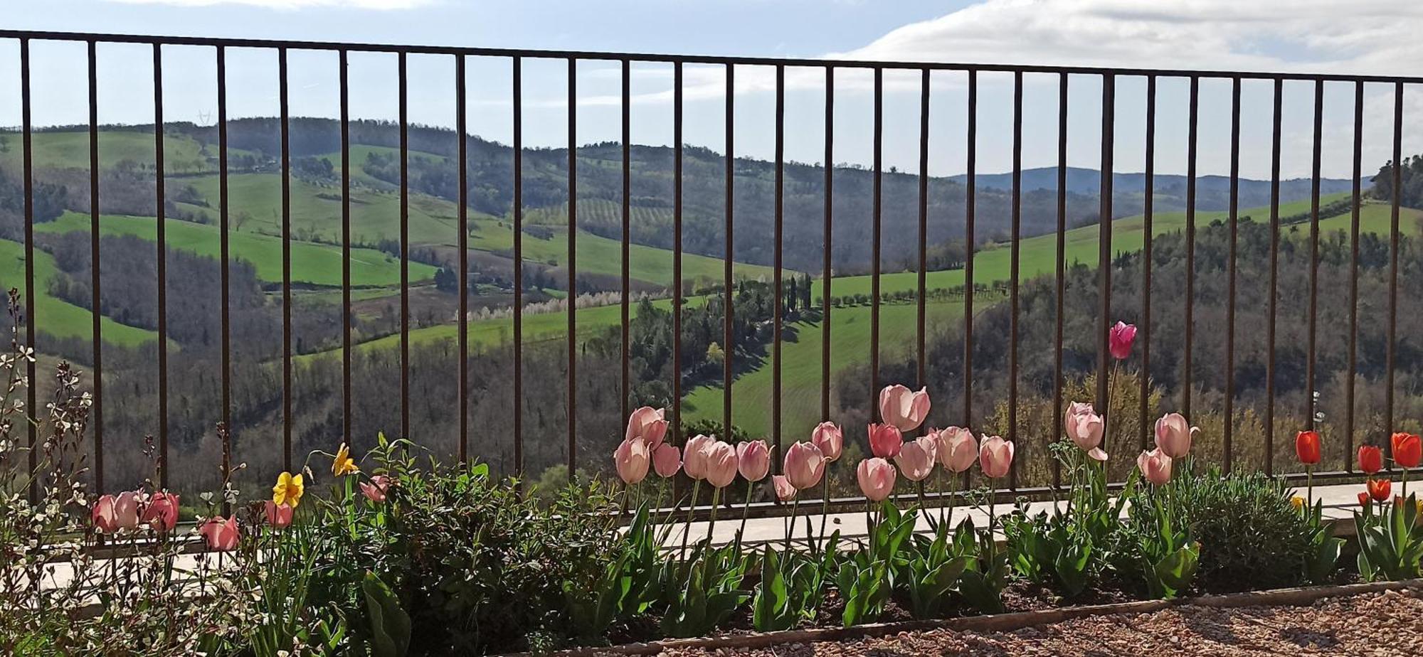 Agriturismo Casa Greppo 新维南佐 外观 照片