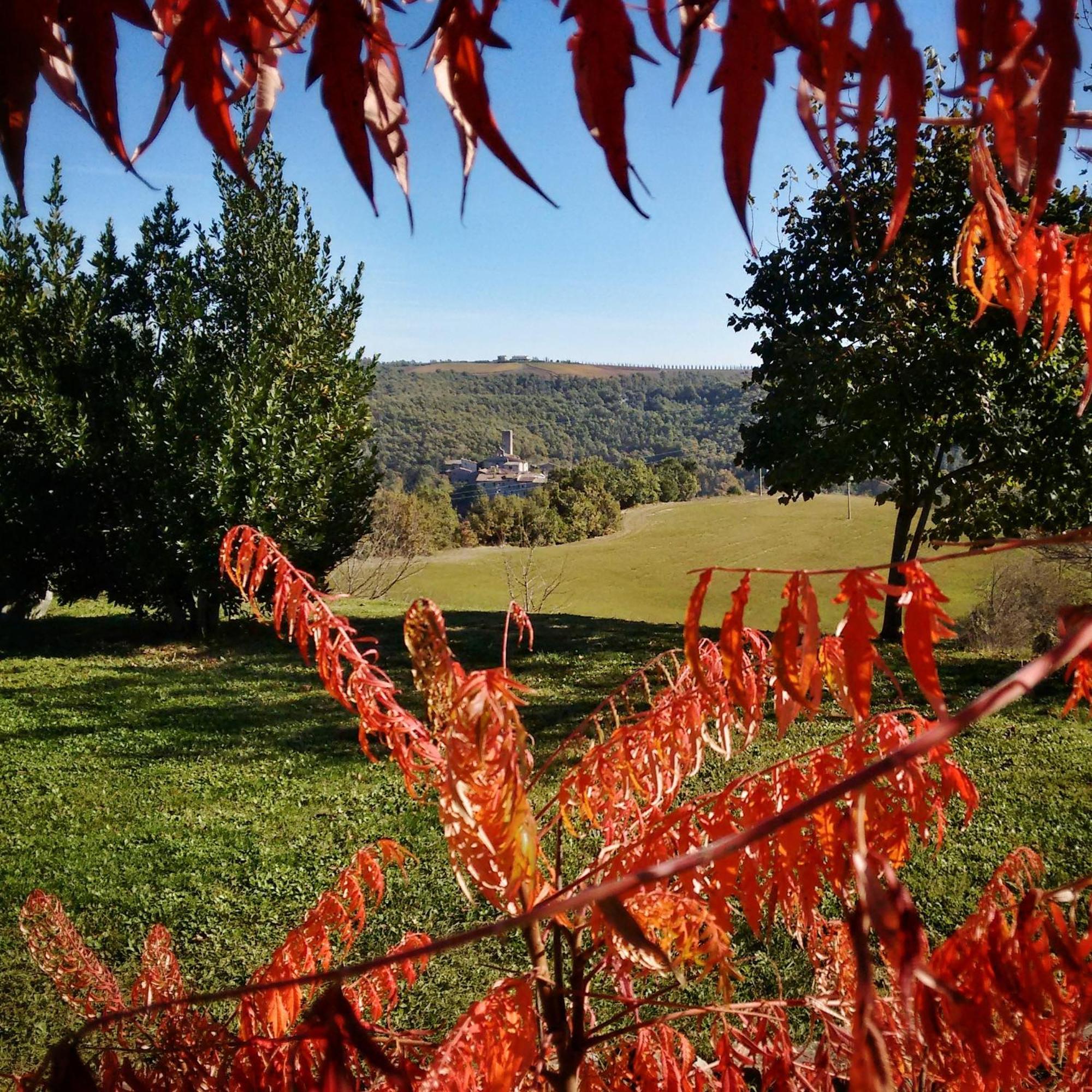 Agriturismo Casa Greppo 新维南佐 外观 照片